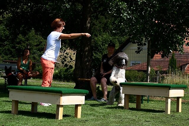 IMG-5273.jpg