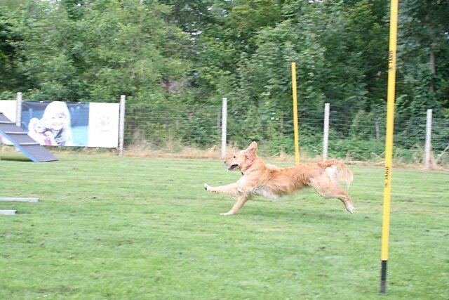 IMG-5713.jpg