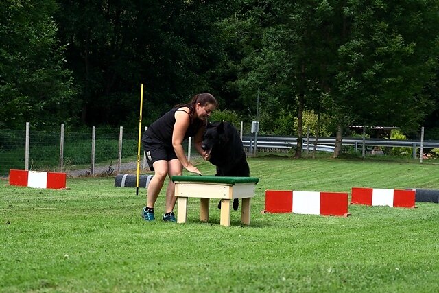 IMG-5966.jpg